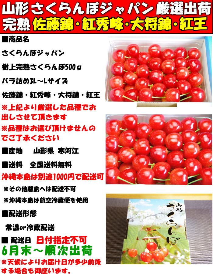 山形さくらんぼ500gsp