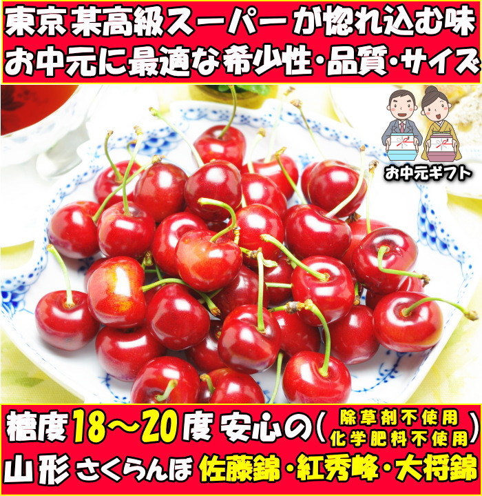 山形さくらんぼ露地ファースト１