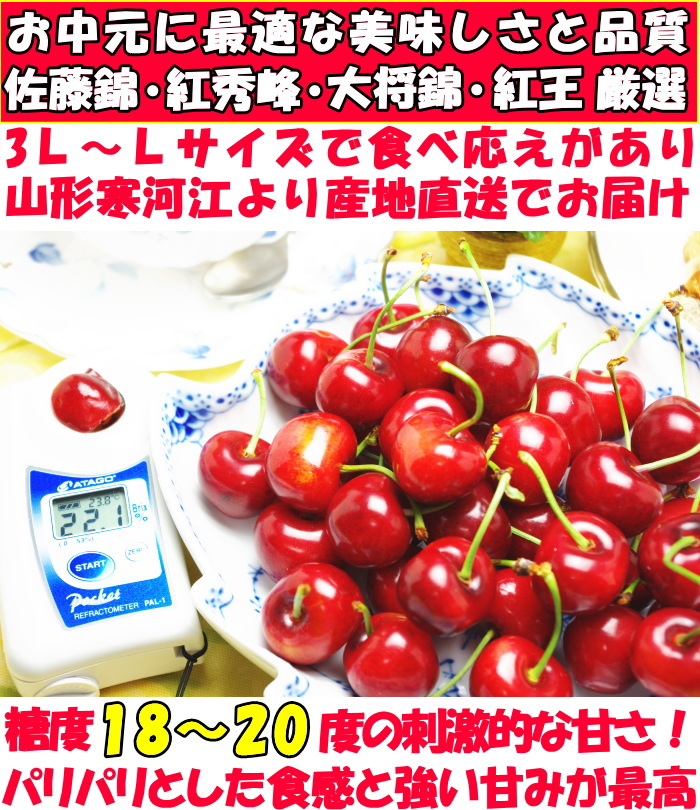 山形さくらんぼベネ1
