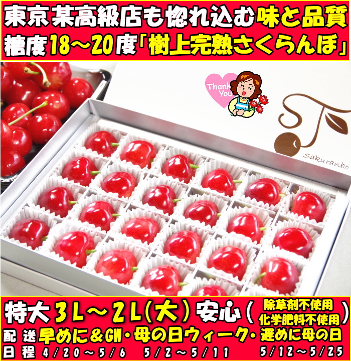大贈1【まるで宝石箱！特別ギフトBOX】朝採りさくらんぼ【3L粒】 楽天市場】【宝石箱 さくらんぼ】1箱20粒入り 高糖度 フルーツ