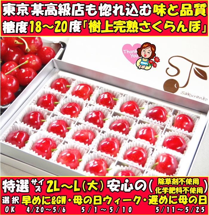 山形母の日さくらんぼファースト