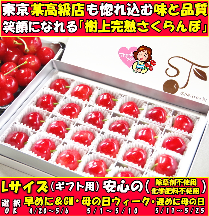 山形母の日さくらんぼファースト