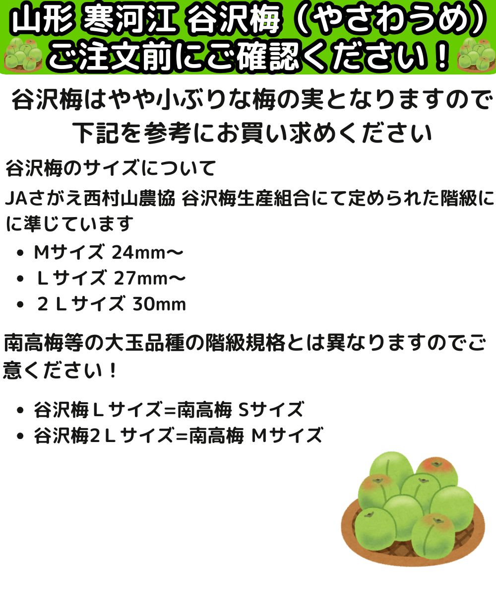 梅 梅干し用 5kg 谷沢梅 やさわうめ 小玉 m〜L or L〜2L