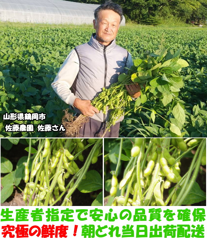 山形だだちゃ豆ベネ4