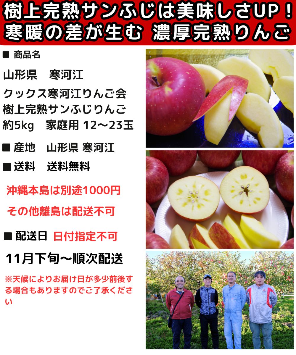 りんご 山形 完熟 サンふじ 約 5kg 12-23玉 家庭用 訳あり 蜜入り し