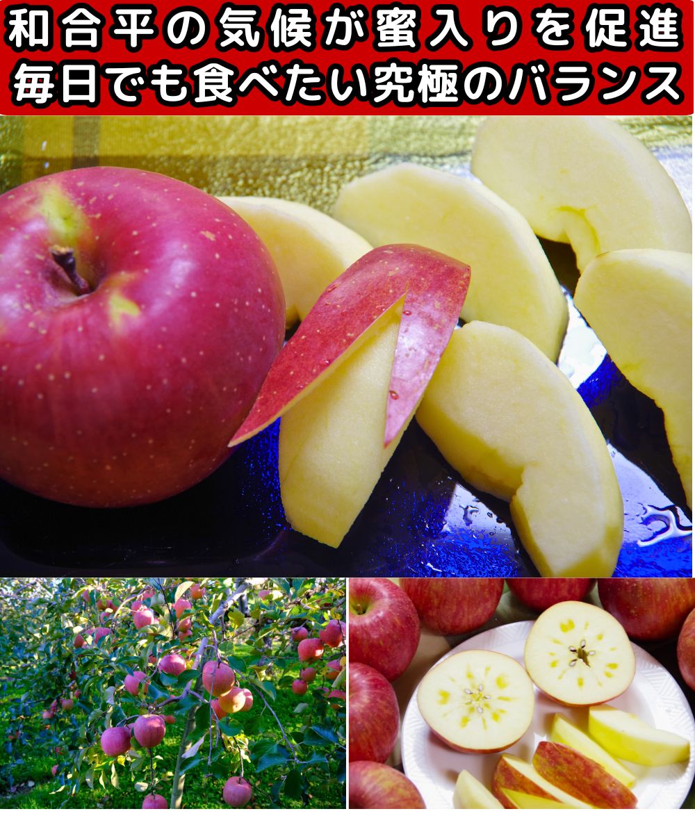 サンふじ　12玉　訳あり　家庭用　送料込 りんご 山形 完熟 サンふじ 約 5kg 12-23玉 家庭用 訳あり 蜜入り し