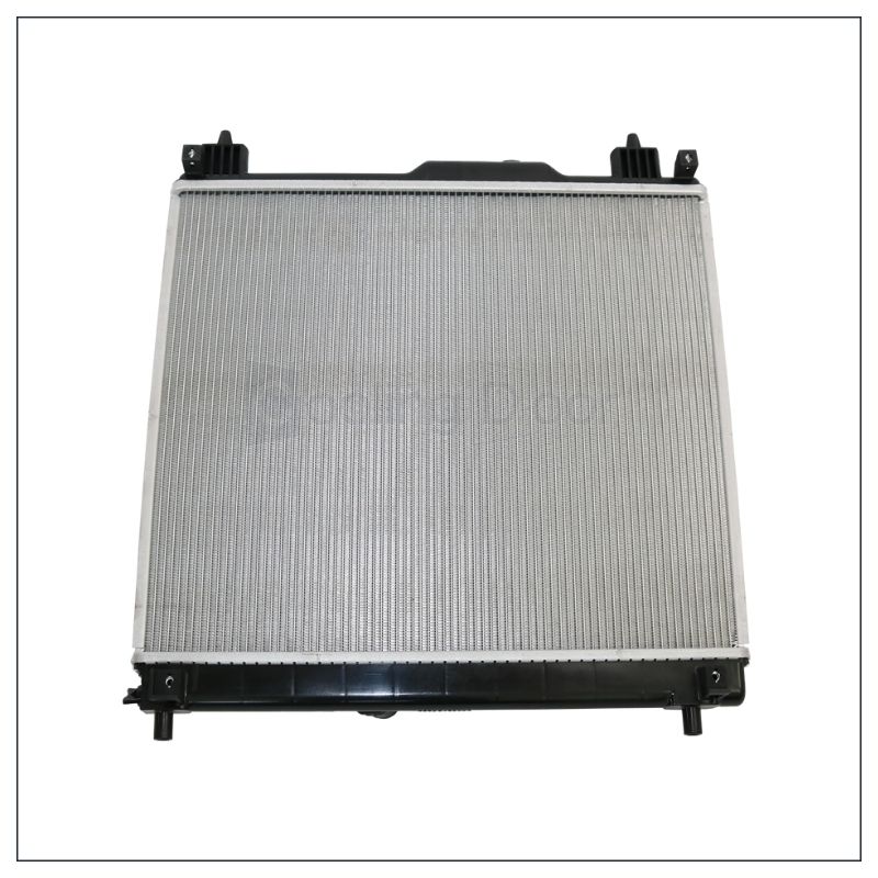 ラジエーター【SFR100041】CoolingDoor☆ |  | 02