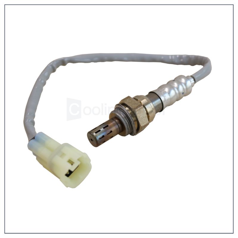 かわしー様確認用 A4 2穴 白色無地台紙 - 見本帳・サンプル帳 ・テキスタイルの株式会社