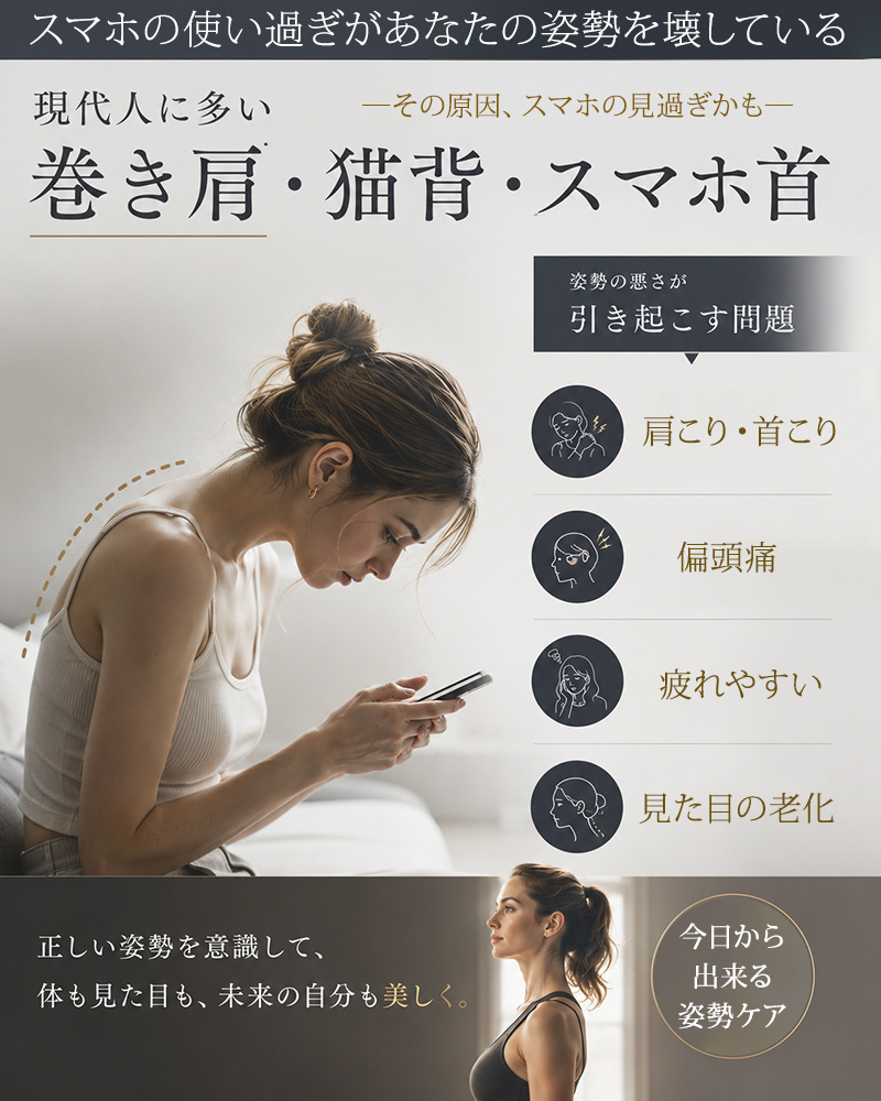 BlueBlood（ブルーブラッド） 枕 まくら 背中まである 背中のこり