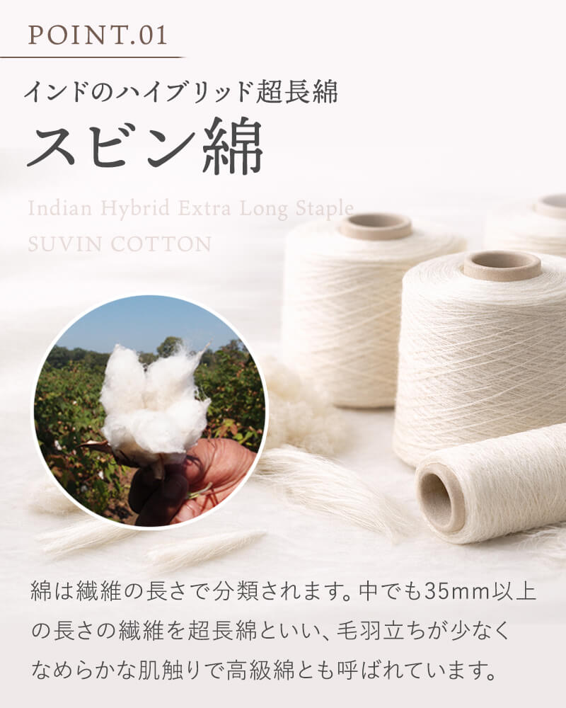 RAMCO ラムコ　枕カバー　BlueBlood3D体感ピロー用 超長綿 スビン綿 綿100% 日本製 洗える |  | 01