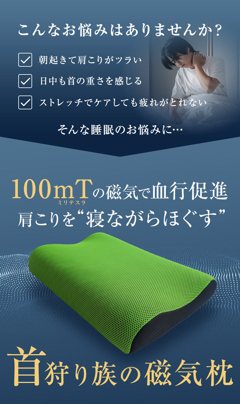 Head Hunter 枕 肩こり 首こり 首狩り族の磁気枕 医療機器 日本製 医療