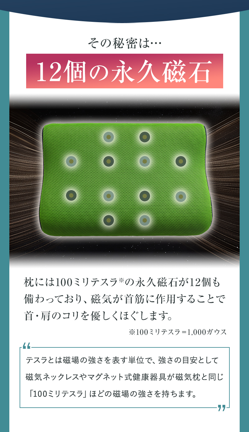 12個の永久磁石が首筋に作用