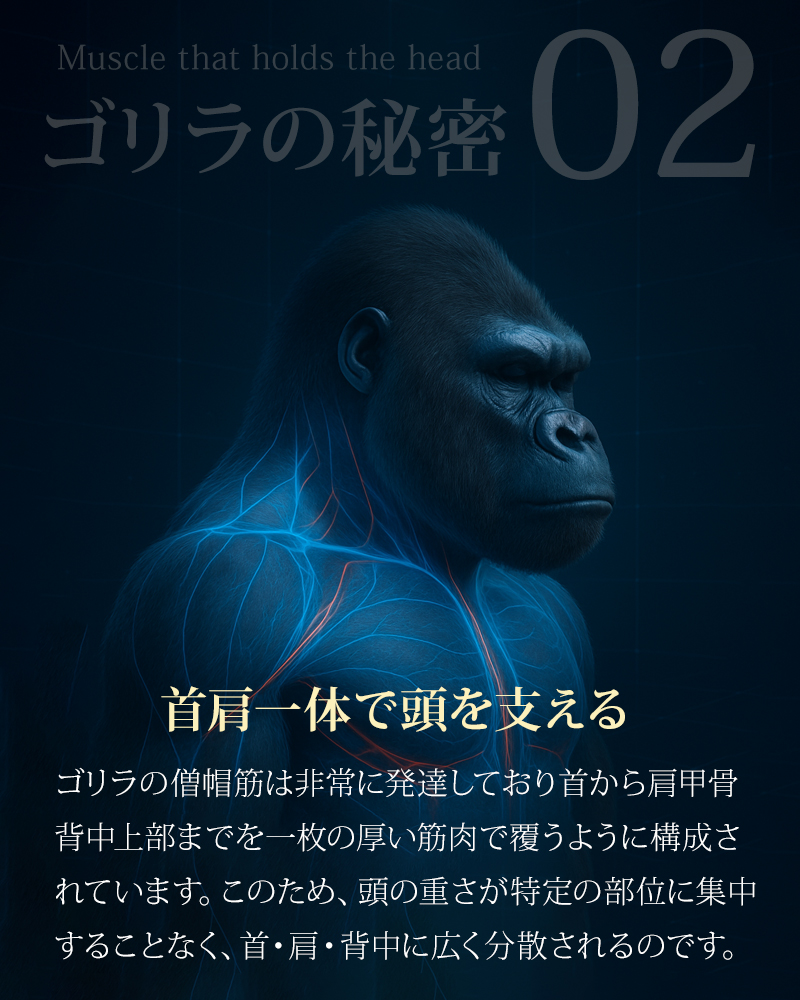 GORILLA SLEEP（ゴリラスリープ） 磁気枕 肩こり 首こり 枕 まくら