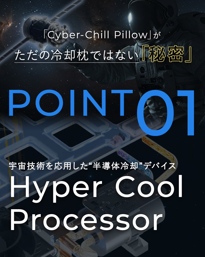 冷たい枕 冷却枕 まくら サイバーチルピロー  冷感枕  冷却 クール  暑さ対策 熱帯夜 熱中症対策 ひんやりグッズ  まくら マクラ 温熱機能 ブルーブラッド |  | 06
