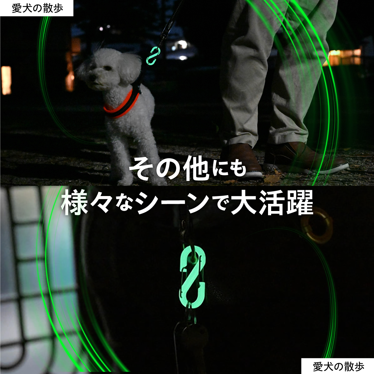 OUROBOROS 朧 Sビナ(2個入り) カラビナ S字カラビナ アウトドア