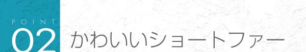 02_かわいいショートファー