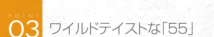 03_ワイルドテイストな「55」