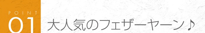 01_大人気のフェザーヤーン