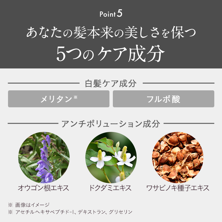 Le ment（ルメント） 高濃度炭酸オイルクレンジング＆シャンプー