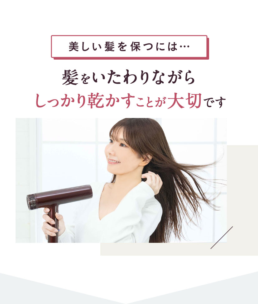 Le ment（ルメント） 【送料無料(沖縄県・一部離島を除く)】ルメント
