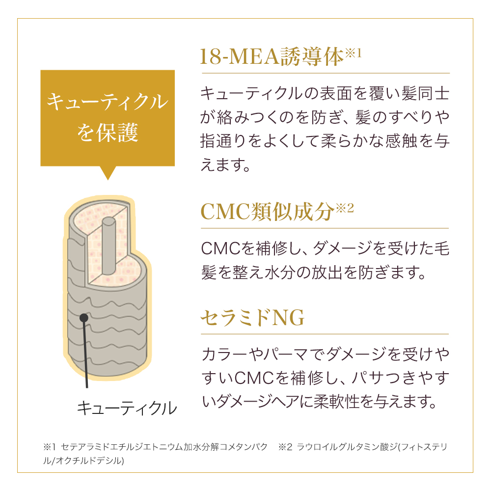 Le ment（ルメント） 高濃度炭酸オイルシャンプー＆集中補修型