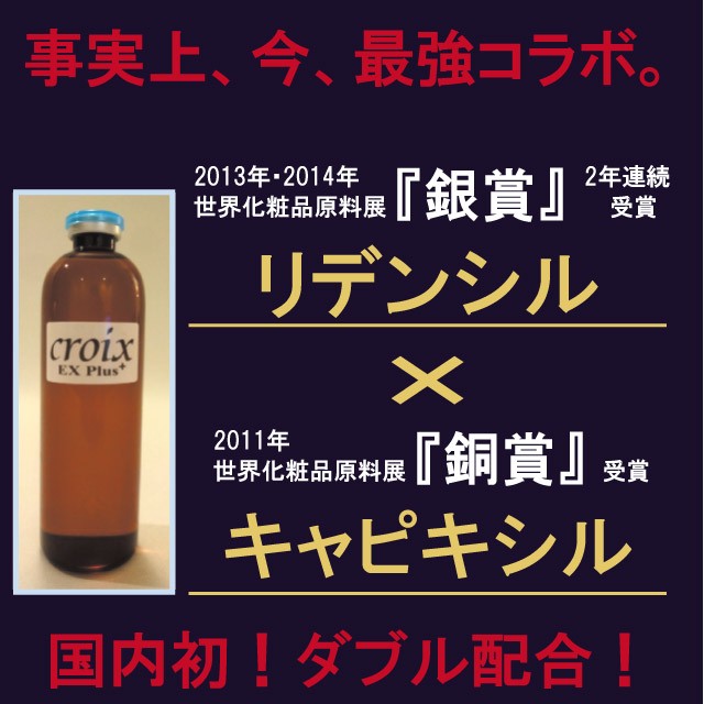 CroixスカルプエッセンスEXプラス 120ml×6本 ミノキシジ ルロゲインの前にリデンシル＋キャピキシル配合育毛サロン育毛剤 : croix-304-006yafuoku  : エイジングケアコスメ クロワ - 通販 - Yahoo!ショッピング