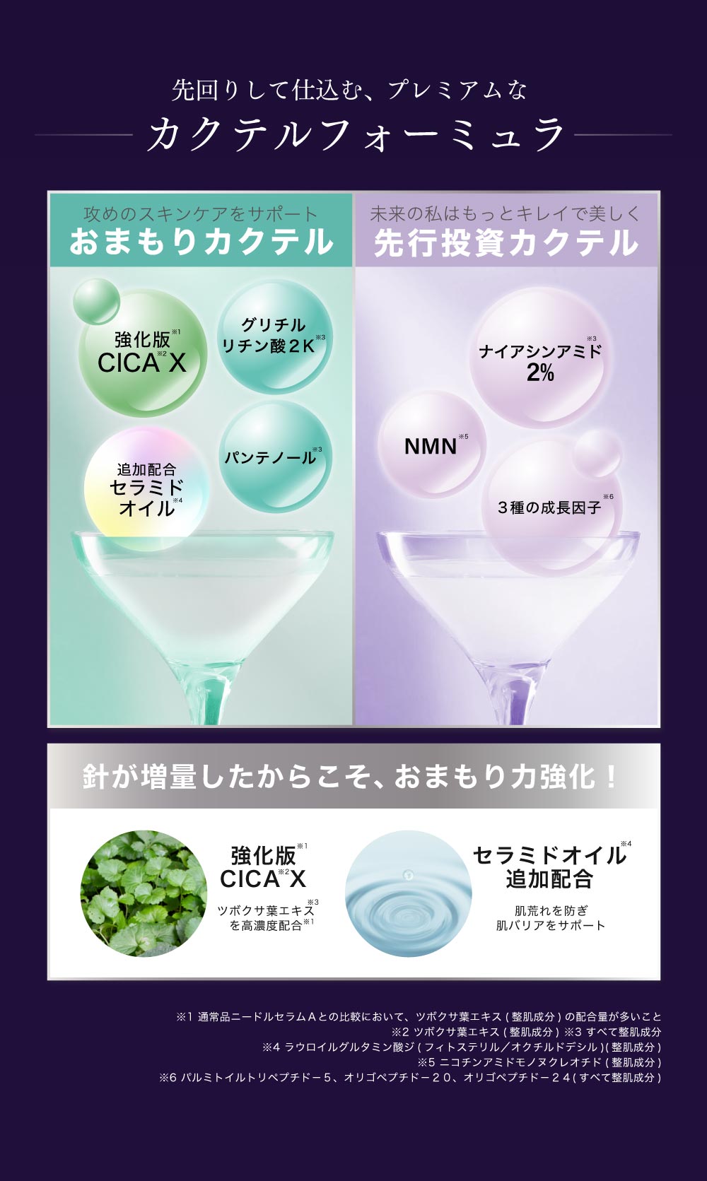 fractional CC 【公式】フラクショナルCC ニードルセラムAX4 日本製