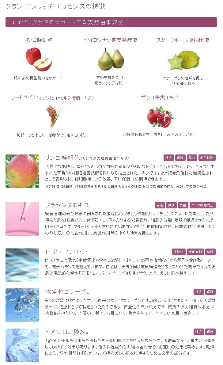 送料無料 ☆GLAN グラン エンリッチ エッセンス 30g (美容液) 【正規