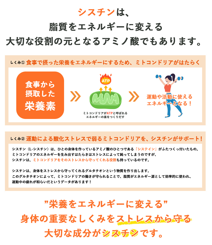 賞味期限2022.10月 シスチン 525 90粒 CYSTINE サプリ メール便送料無料/L-シスチン L-CYSTINE 525mg  サプリメント 国内製 健康 美容 非必須アミノ酸 :c77-c525-1p:コスメジャパン - 通販 - Yahoo!ショッピング