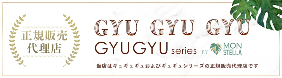 即納 正規代理店 ギュギュギュ 骨盤ショーツ GYUGYUGYU メール便送料