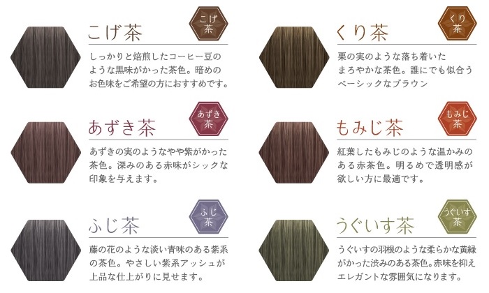 ランドプランニングアソシエーツ 香草カラー色葉 300g サロン専売品