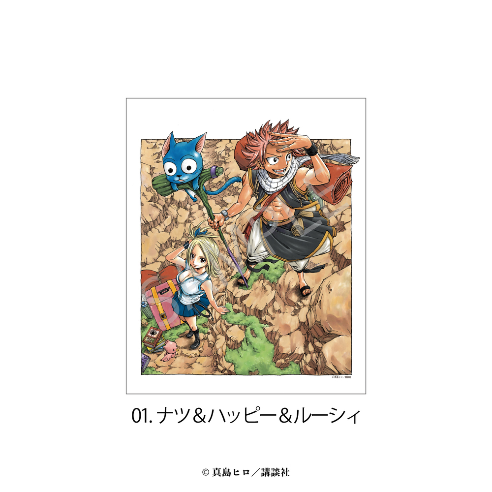 FAIRY TAIL 原作 キャンバスボード アニメ グッズ かわいい