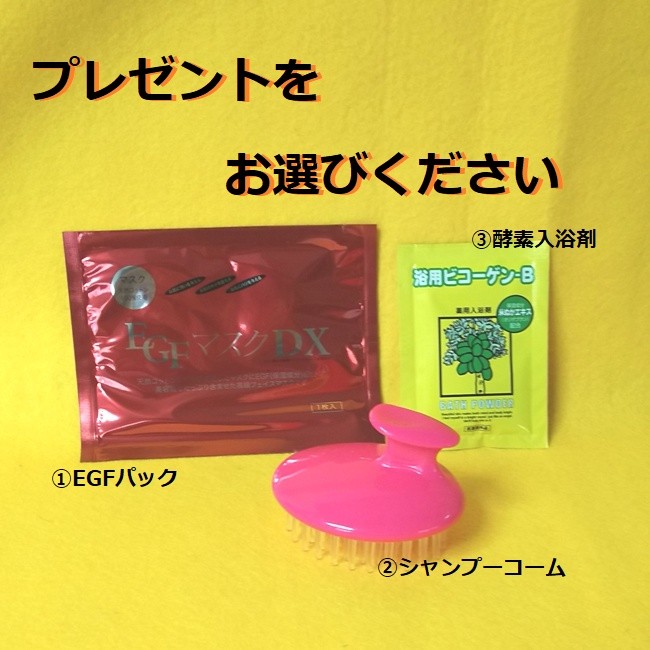 リアル オリザジュン 米ぬか清髪料(シャンプー) 1000ml/保艶料