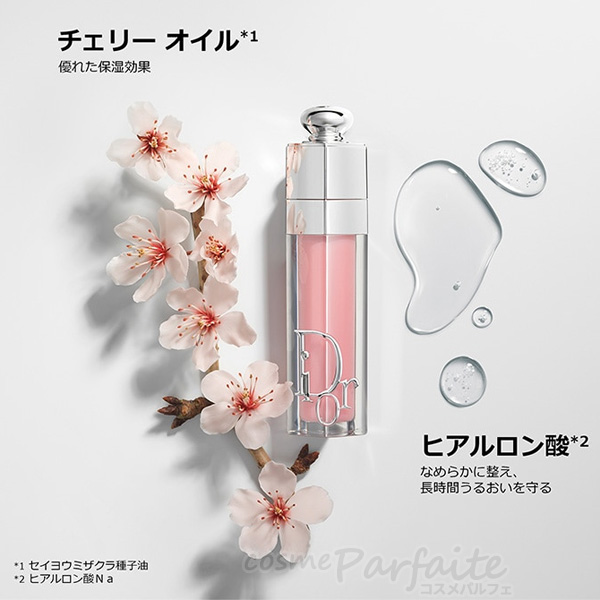 Dior Addict リップケア・リップクリーム クリスチャン