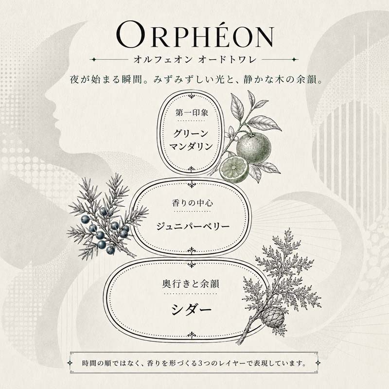 diptyque（ディプティック） 訳あり/外箱ダメージ オルフェオン