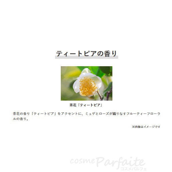 5/1店内最大+11％ 洗顔フォーム KANEBO カネボウ コンフォート ストレッチィ ウォッシュII 130g コンパクト便 新入荷04 母の日 お祝い プレゼント | Kanebo | 06