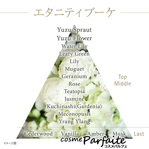 KANEBOザファンデーション ザ クリームファンデーション | KANEBO公式サイト