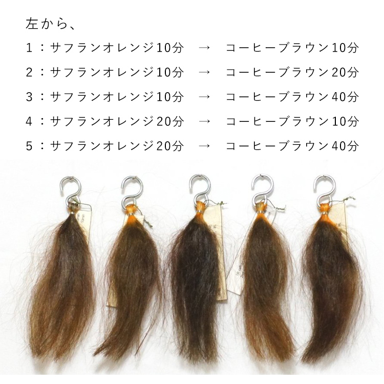 ヘナ6