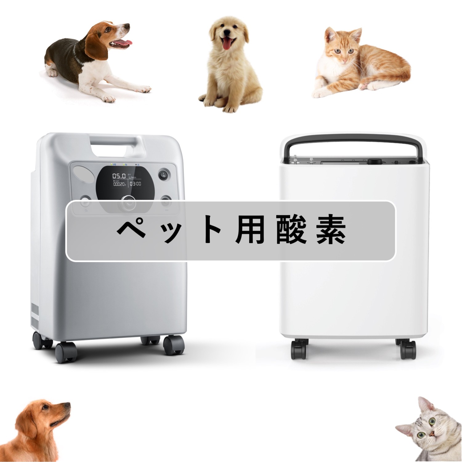 ペット用　酸素室 ペット用酸素室 Mサイズ 60*80*60cm 酸素室 酸素ケージ 酸素