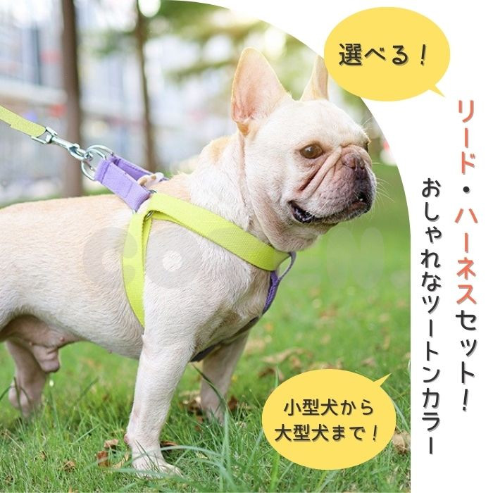 COTEN 犬 ハーネス リード セット 小型犬 中型犬 大型犬 胴輪 おしゃれ