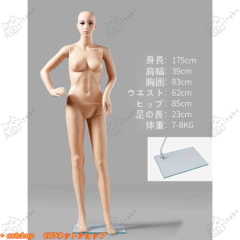 マネキン 全身 リアルマネキン 女性 男性 靴対応 軽量 B83 W61 H86