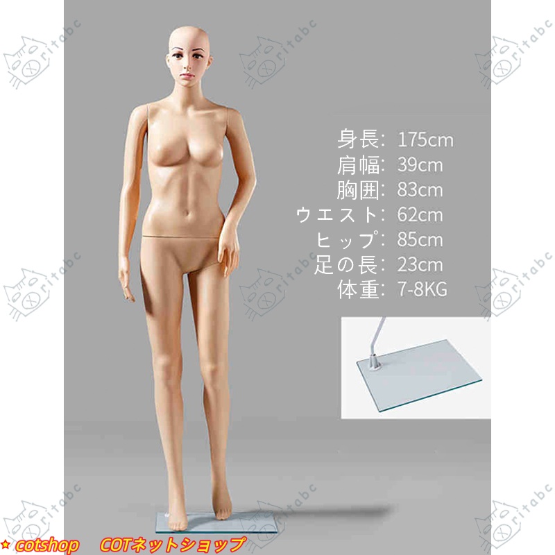マネキン 全身 リアルマネキン 女性 男性 靴対応 軽量 B83 W61 H86