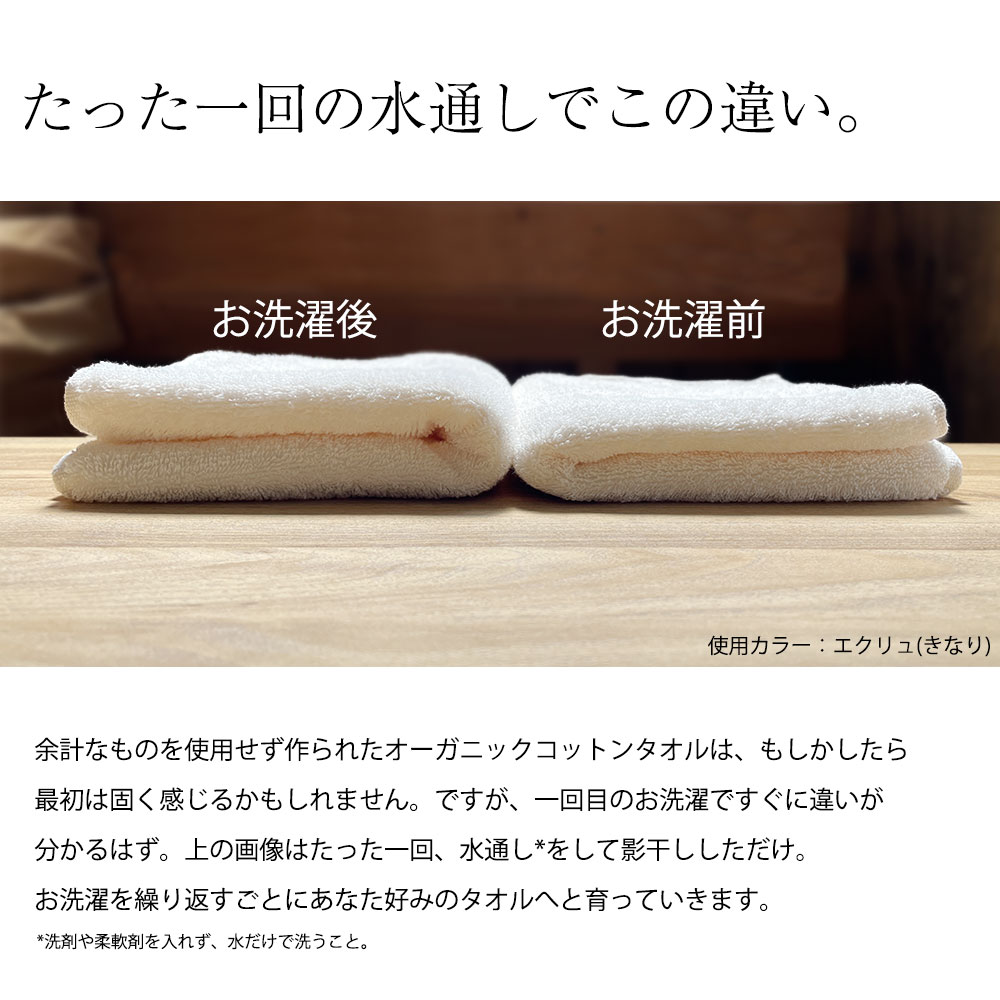 CottonTown タオル ビッグフェイスタオル オーガニック コットン