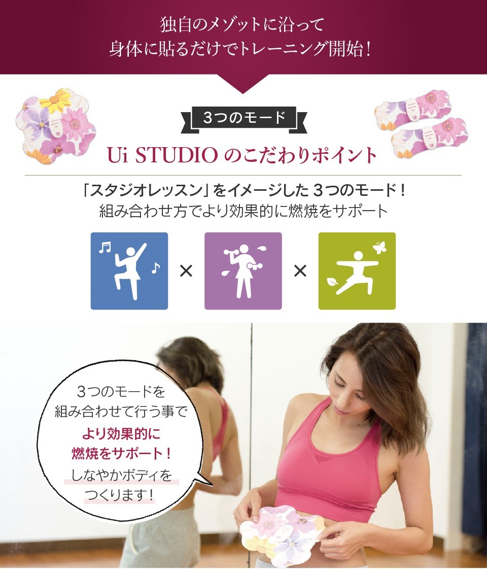 ウイスタジオ ブルームセット Ui STUDIO Bloom Set 4極+2極 メーカー公式】ウイスタジオ ブルームセット Ui STUDIO Bloom