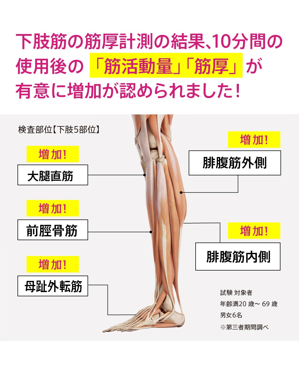 96%OFF!】 カルフット Calfoot EMS 足裏EMS EMSパッド 歩くを鍛える 千葉雅子さん監修 美脚 健脚 サクラ fucoa.cl