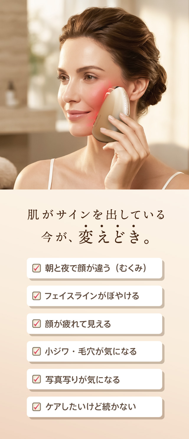 メーカー直販】ZOGANKIN KASSA（ゾーガンキン カッサ） : クルールラボ