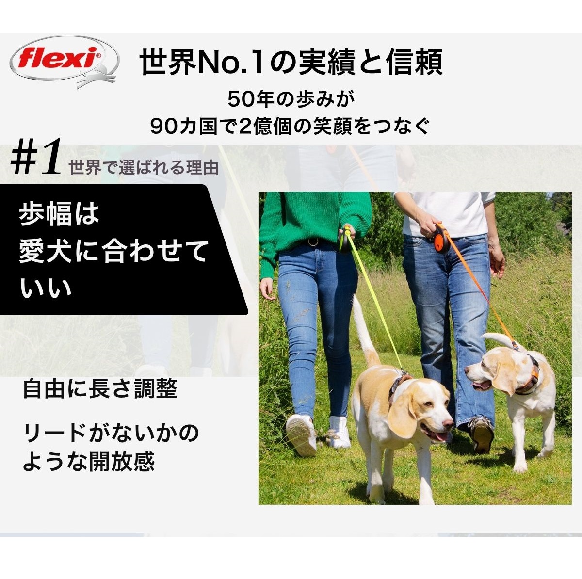 flexi（フレキシ） フレキシリード ジャイアント 正規代理店 2年保証