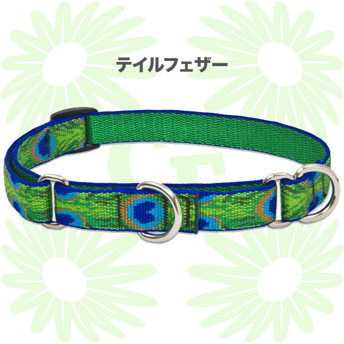 1.9cmマーチンゲール首輪 ・Mサイズ・36〜51cm】ルパイン ハーフチョーク首輪 Lupine Martingale Collar 3/4