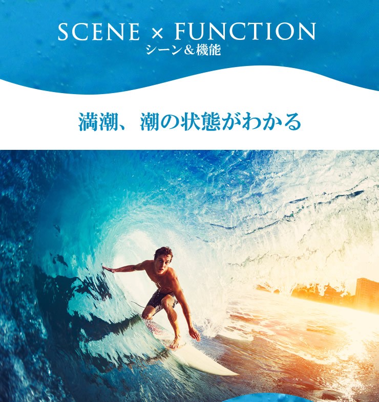 タイドグラフ腕時計