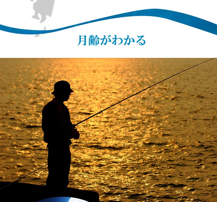 タイドグラフ腕時計